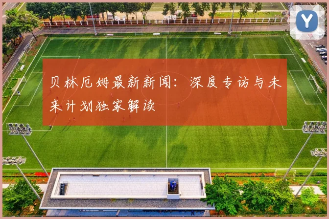 贝林厄姆最新新闻:深度专访与未来计划独家解读