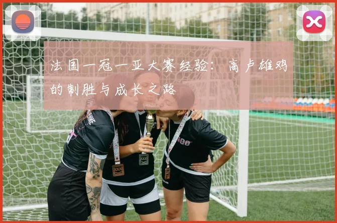 法国一冠一亚大赛经验:高卢雄鸡的制胜与成长之路