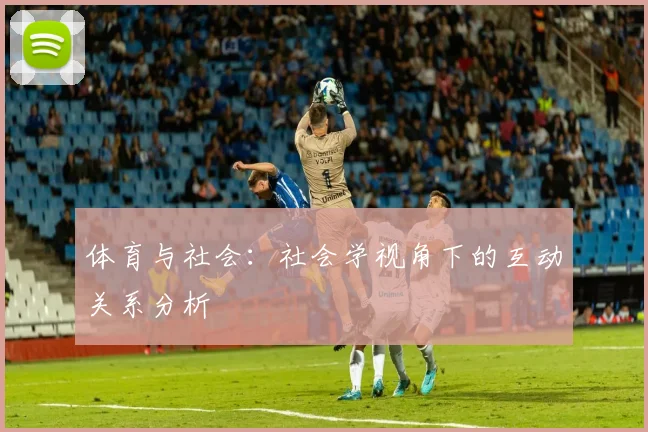 体育与社会：社会学视角下的互动关系分析
